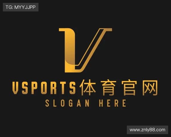 介绍VSPORTS胜利因您更精彩
